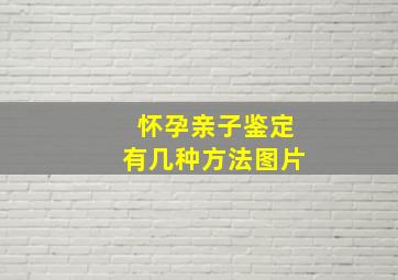 怀孕亲子鉴定有几种方法图片