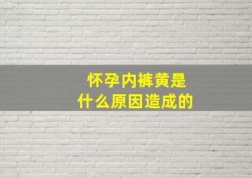 怀孕内裤黄是什么原因造成的