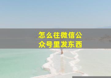 怎么往微信公众号里发东西