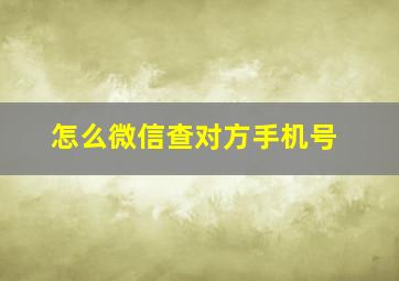 怎么微信查对方手机号