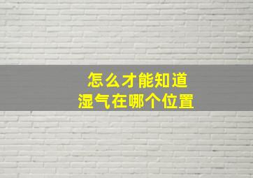 怎么才能知道湿气在哪个位置