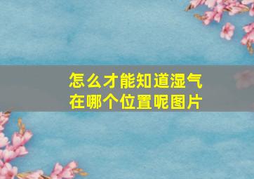 怎么才能知道湿气在哪个位置呢图片