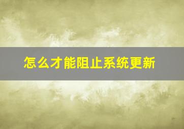 怎么才能阻止系统更新