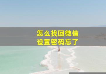 怎么找回微信设置密码忘了