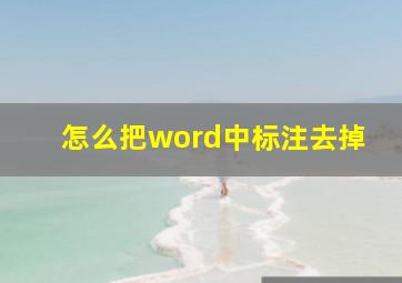 怎么把word中标注去掉