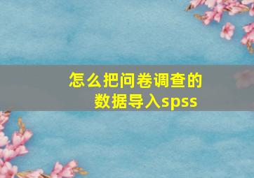 怎么把问卷调查的数据导入spss