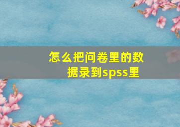 怎么把问卷里的数据录到spss里