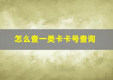 怎么查一类卡卡号查询