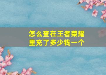 怎么查在王者荣耀里充了多少钱一个