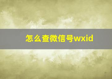 怎么查微信号wxid