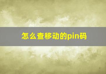 怎么查移动的pin码