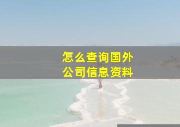 怎么查询国外公司信息资料