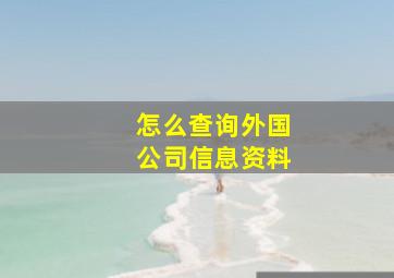 怎么查询外国公司信息资料