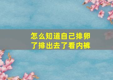 怎么知道自己排卵了排出去了看内裤