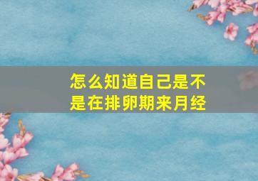 怎么知道自己是不是在排卵期来月经