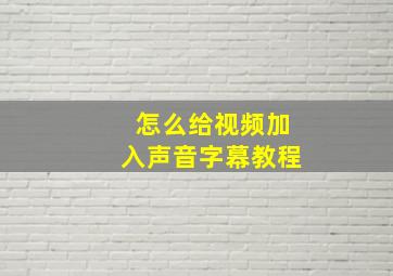 怎么给视频加入声音字幕教程