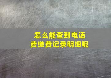 怎么能查到电话费缴费记录明细呢