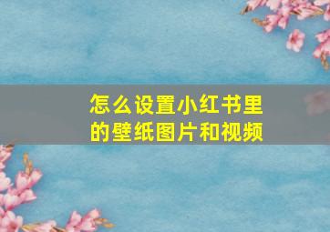 怎么设置小红书里的壁纸图片和视频