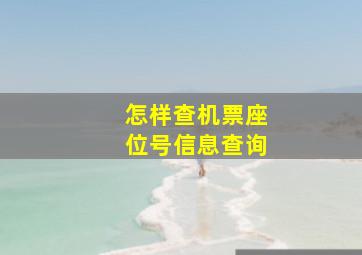 怎样查机票座位号信息查询