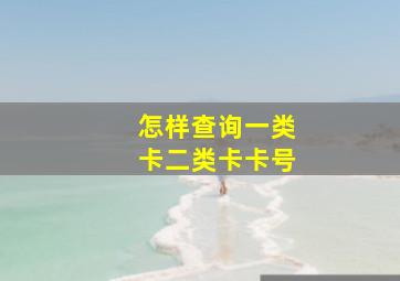 怎样查询一类卡二类卡卡号