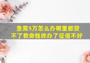 急需5万怎么办哪里都贷不了救命钱咋办了征信不好