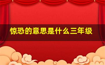 惊恐的意思是什么三年级