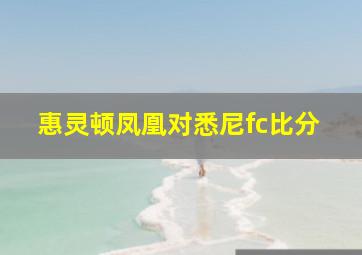 惠灵顿凤凰对悉尼fc比分