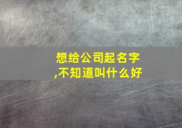 想给公司起名字,不知道叫什么好