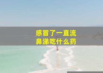 感冒了一直流鼻涕吃什么药