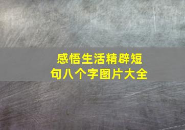 感悟生活精辟短句八个字图片大全