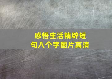 感悟生活精辟短句八个字图片高清