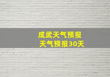 成武天气预报天气预报30天