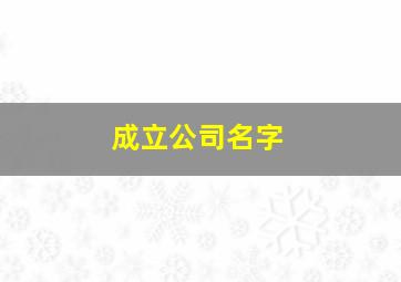 成立公司名字