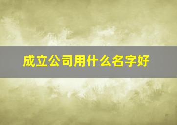 成立公司用什么名字好