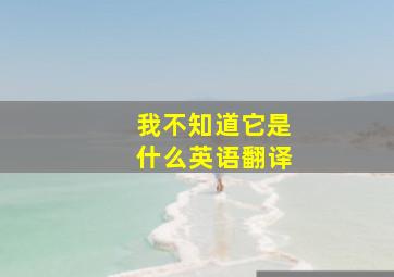 我不知道它是什么英语翻译