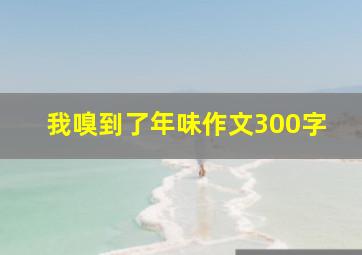 我嗅到了年味作文300字