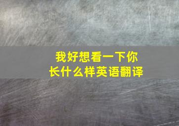 我好想看一下你长什么样英语翻译