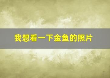 我想看一下金鱼的照片