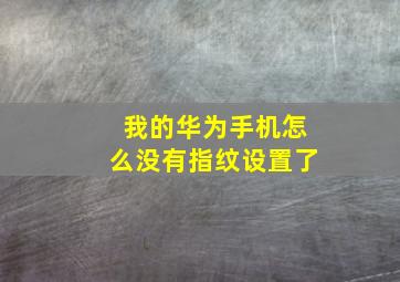 我的华为手机怎么没有指纹设置了