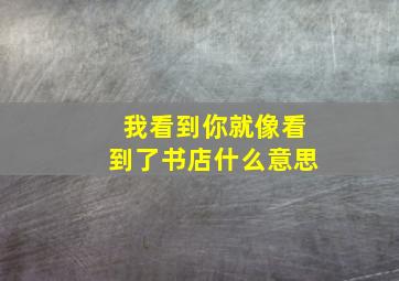 我看到你就像看到了书店什么意思