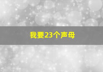 我要23个声母