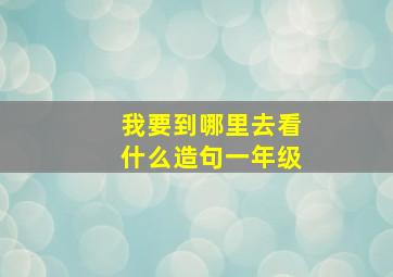 我要到哪里去看什么造句一年级