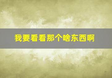 我要看看那个啥东西啊