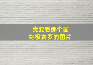 我要看那个画终极赛罗的图片