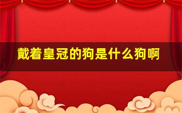 戴着皇冠的狗是什么狗啊