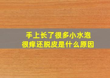 手上长了很多小水泡很痒还脱皮是什么原因