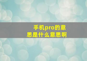 手机pro的意思是什么意思啊