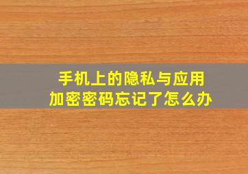 手机上的隐私与应用加密密码忘记了怎么办