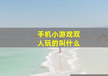 手机小游戏双人玩的叫什么