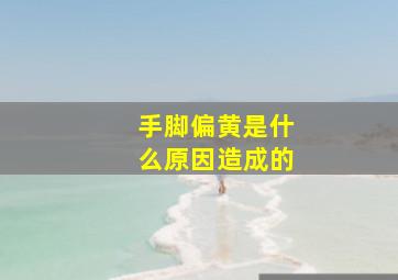 手脚偏黄是什么原因造成的